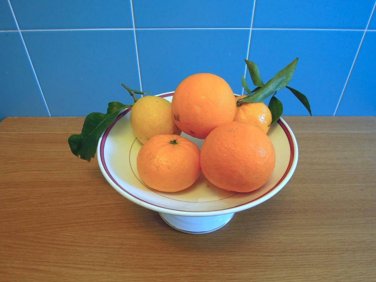 דירות סן אנג'לו Casa De Angelis Orange & Blue מראה חיצוני תמונה